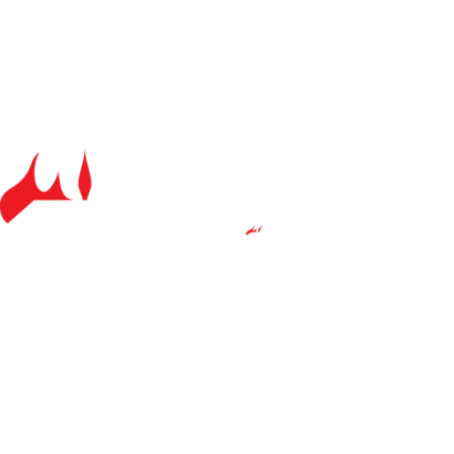 Diafire LOGO 白.png
